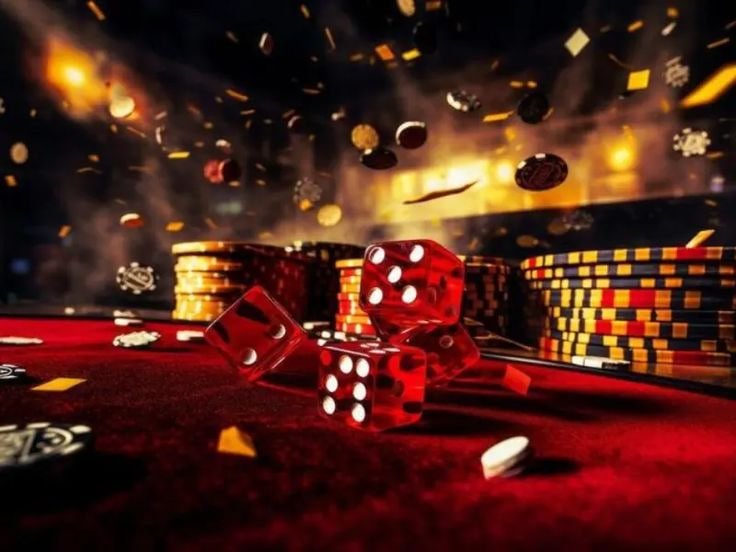 Giải đấu cầu lông và giải bóng chuyền trong nước và quốc tế